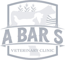 A Bar S Veterinary Clinic A Bar S Veterinary Clinic