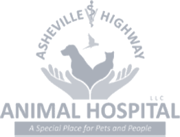 Asheville Highway Animal Hospital Asheville Highway Animal Hospital