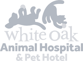 White Oak Animal Hospital & Pet Hotel White Oak Animal Hospital & Pet Hotel